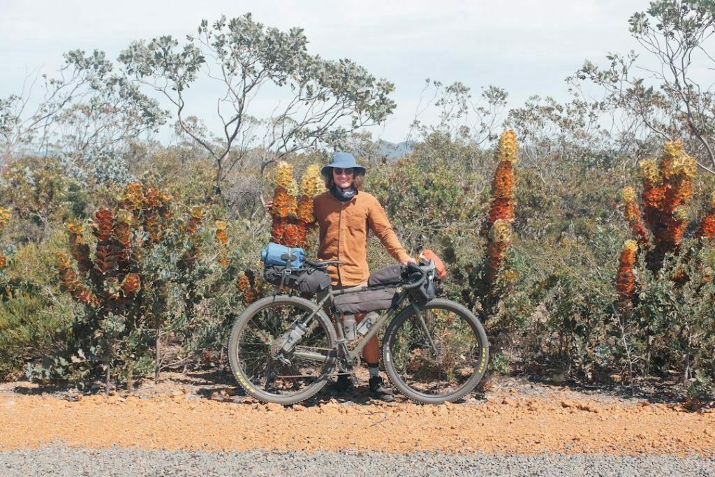 Native plants along the Hakea Trail