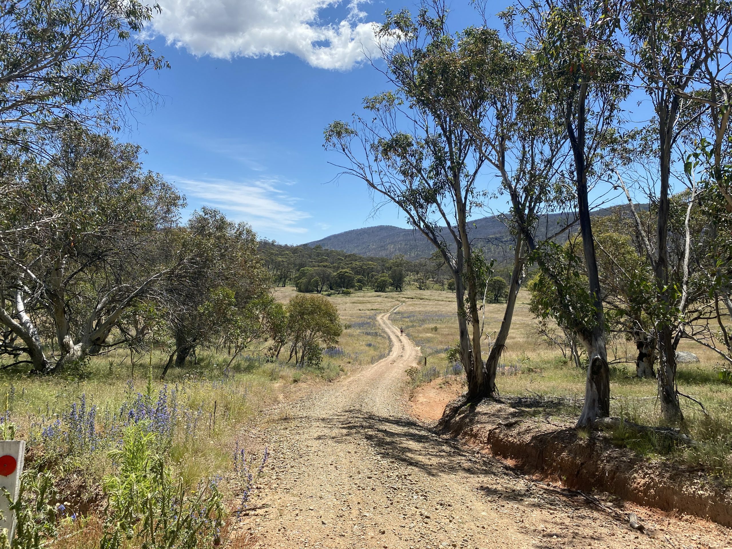 Beautiful gravel road in Canberra