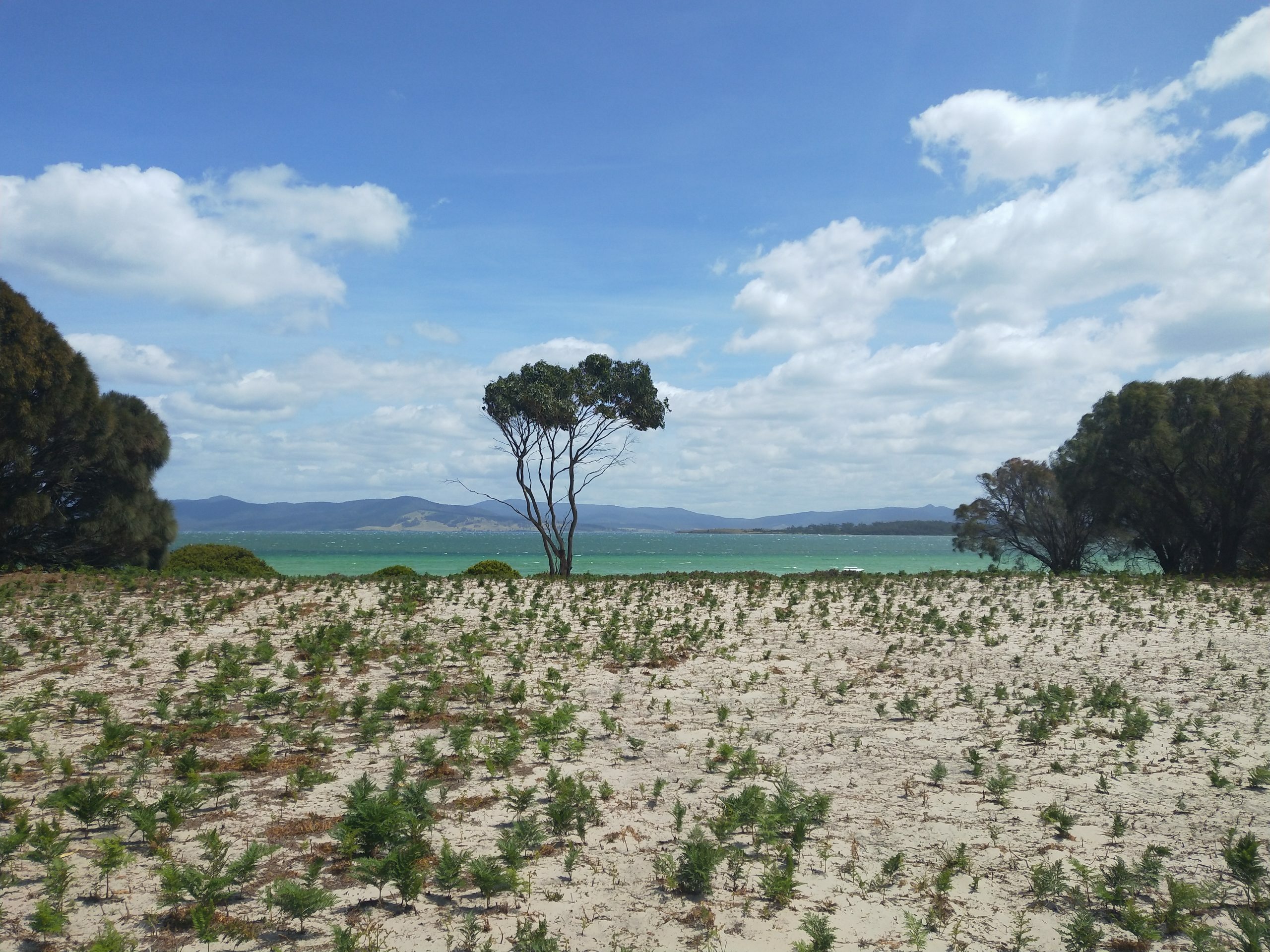 Bikepacking Maria island