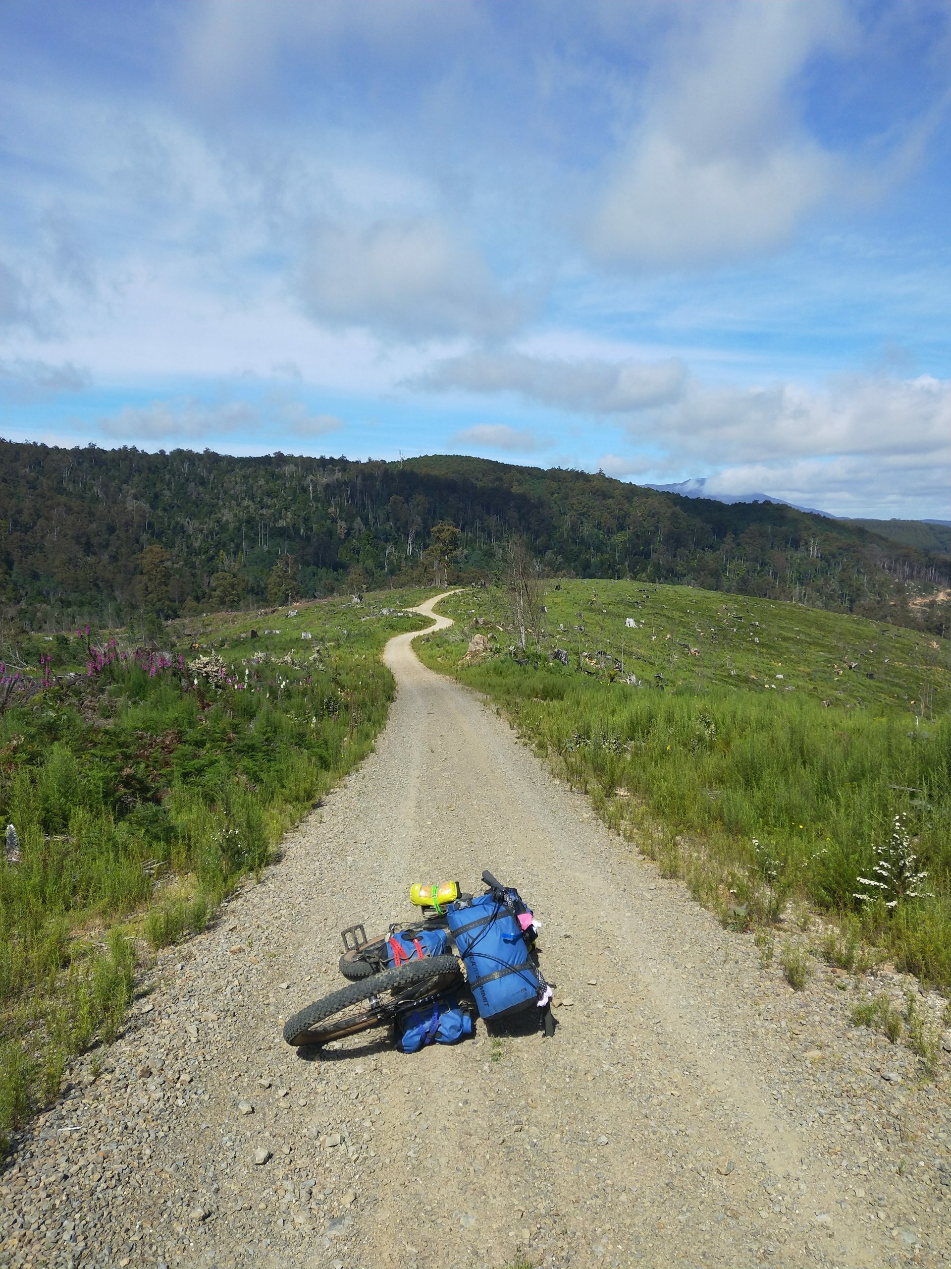 Surly Bikepacking bike in Tasmania on a gravel road