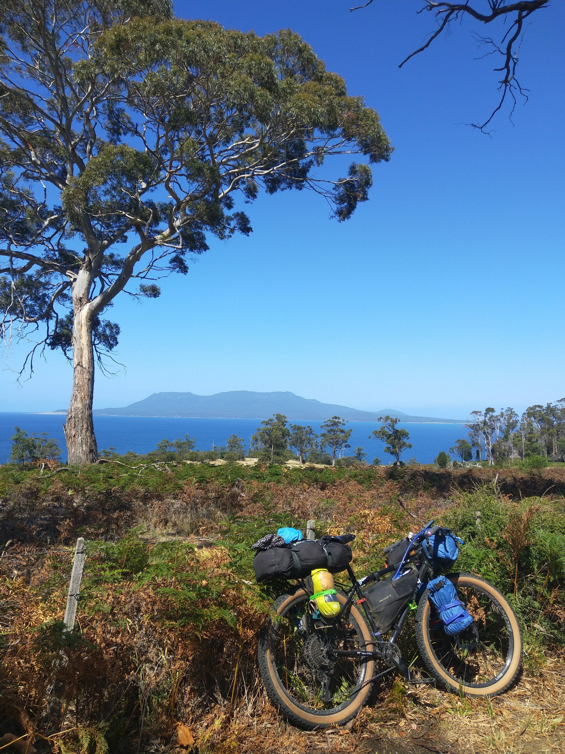 Surly bikepacking rig on the coast of Tasmania