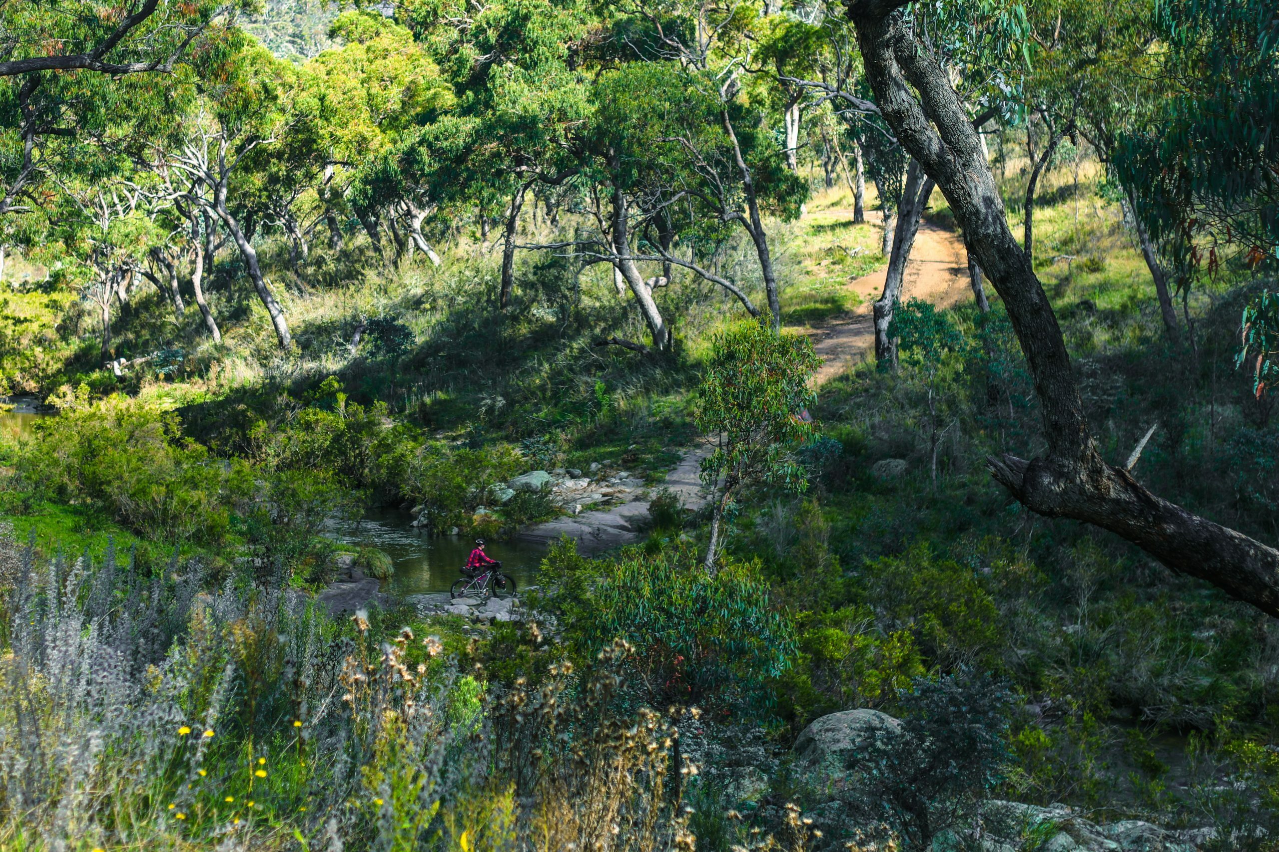 Crossing the Naas River on the way to Horse Gully Hut