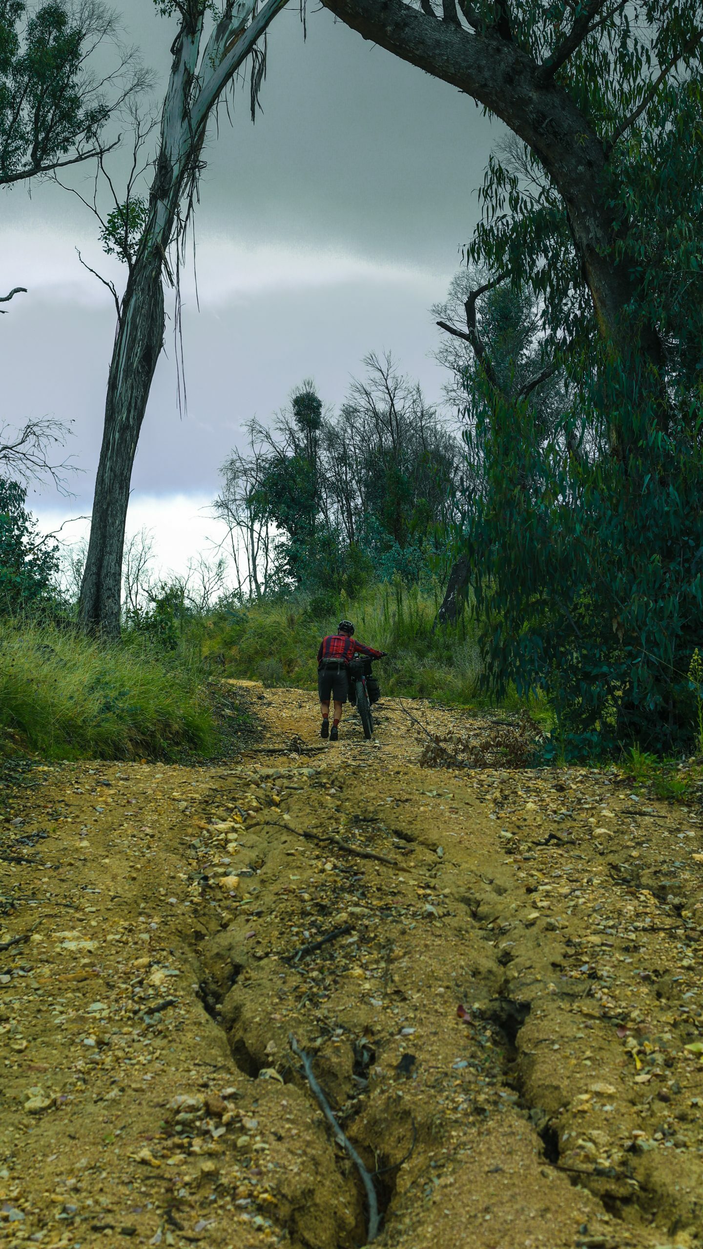 Hike a bike on the Naas River Fire Trail