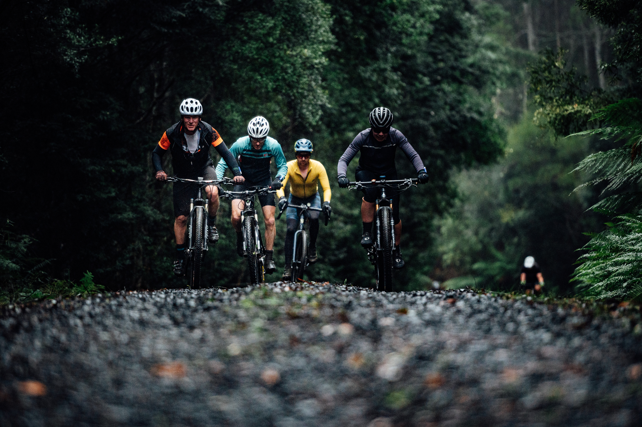 The devils cardigan Tasmanian gravel race feature photo