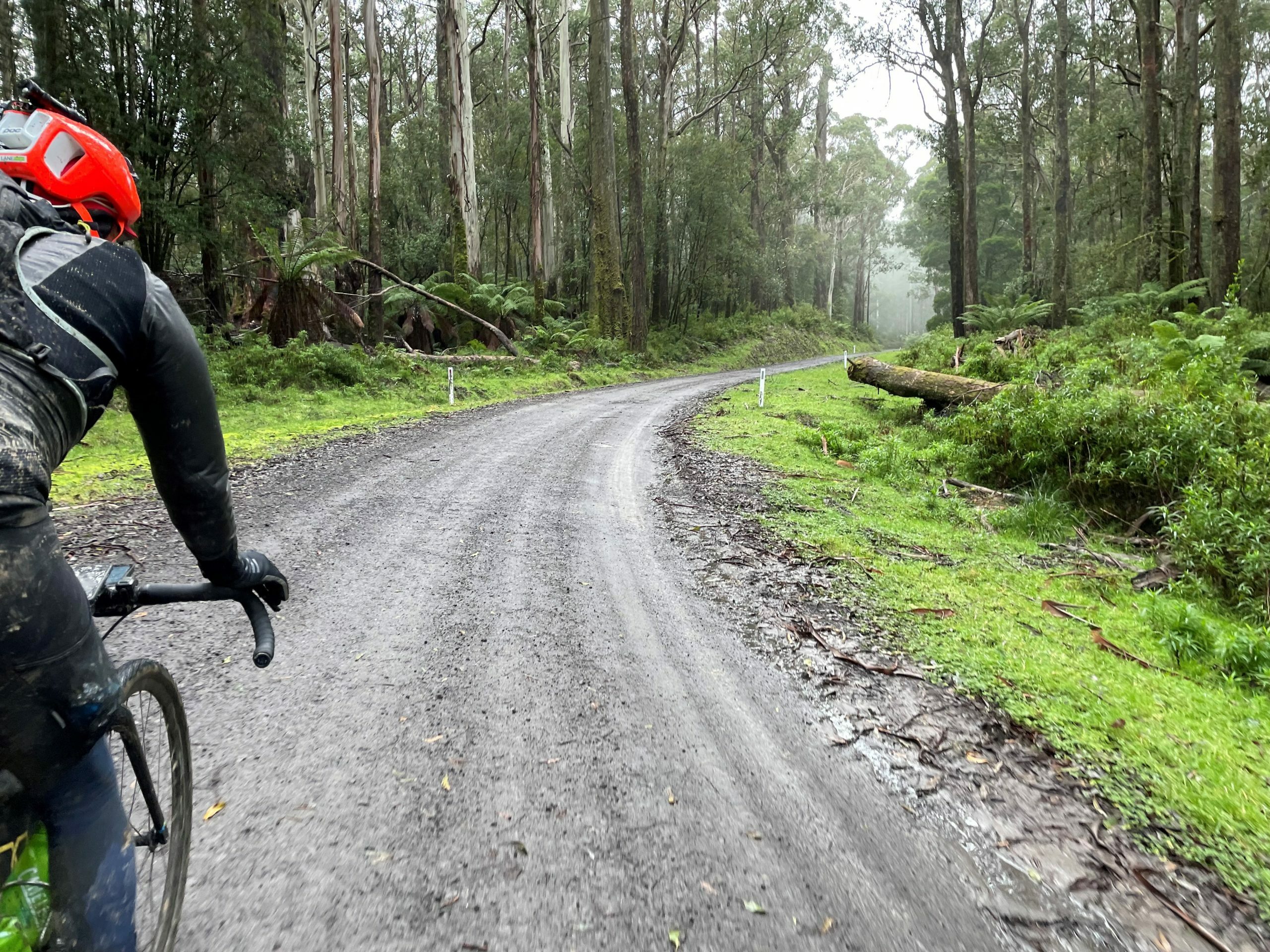 Riding in the Otways on the winter solstice 300, rider recap by Steven Sullivan