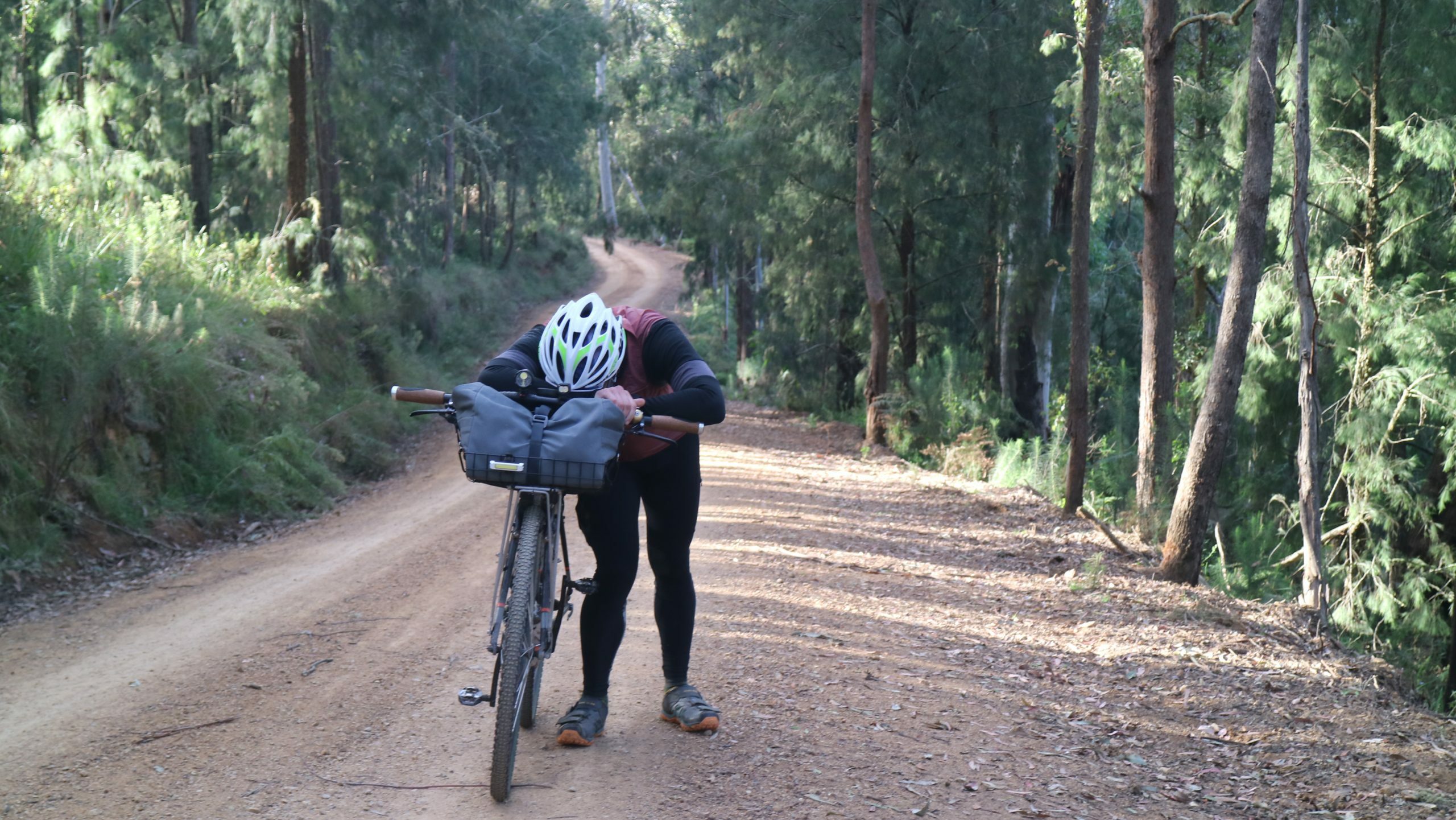 Pushing up Gloucester Tops on the Thunderbolts ride