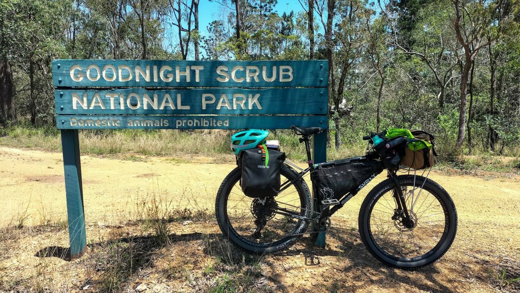 Allison’s Surly Bridge Club