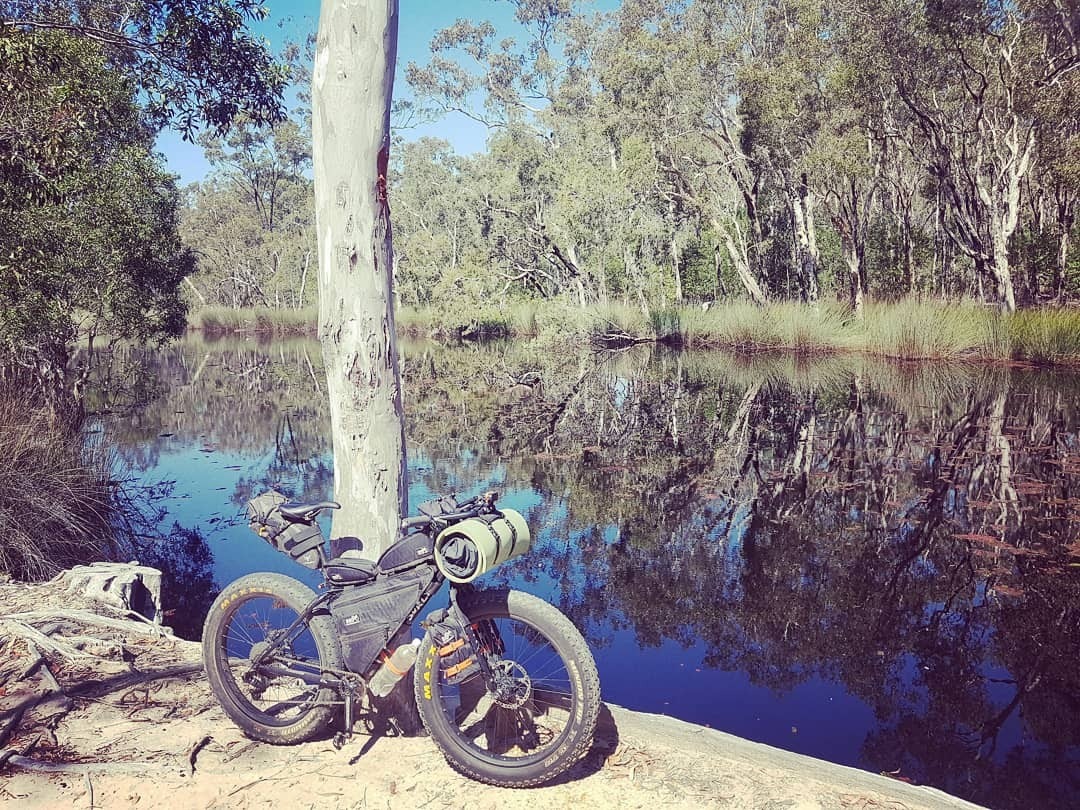 Bikepacking bike leaning on a tree near Bundaberg, QLD