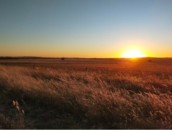 Sunrise on the Mallee Blast 500